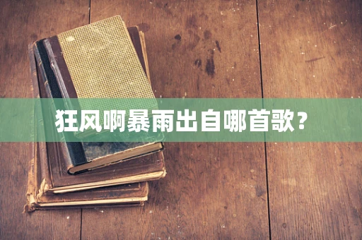 狂风啊暴雨出自哪首歌？