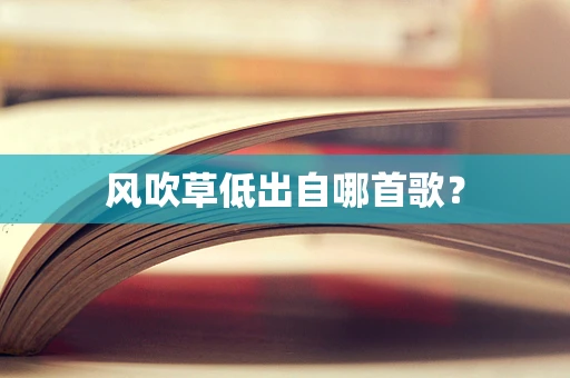 风吹草低出自哪首歌？