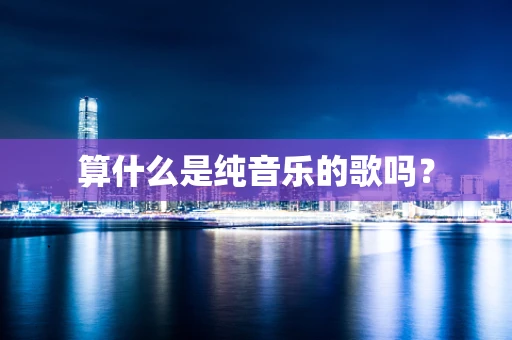 算什么是纯音乐的歌吗？