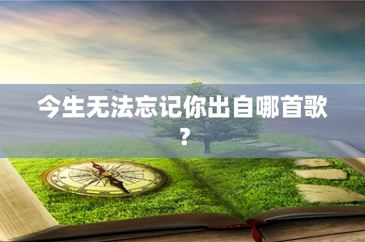 今生无法忘记你出自哪首歌？