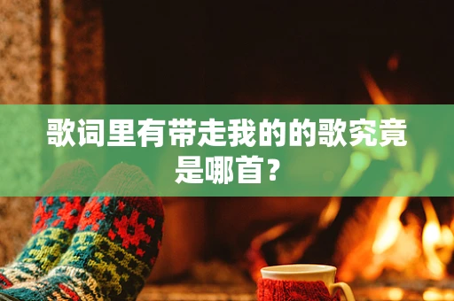 歌词里有带走我的的歌究竟是哪首？