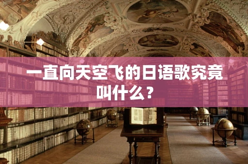 一直向天空飞的日语歌究竟叫什么？