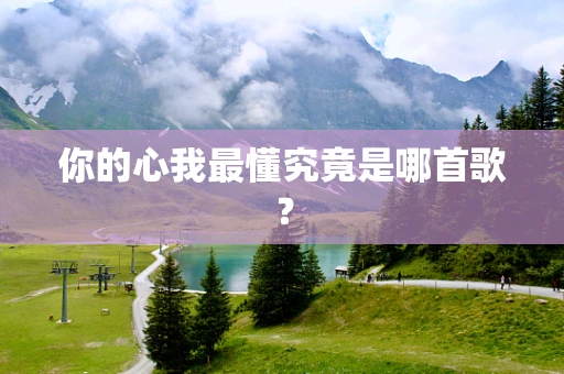 你的心我最懂究竟是哪首歌？