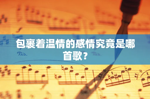 包裹着温情的感情究竟是哪首歌？