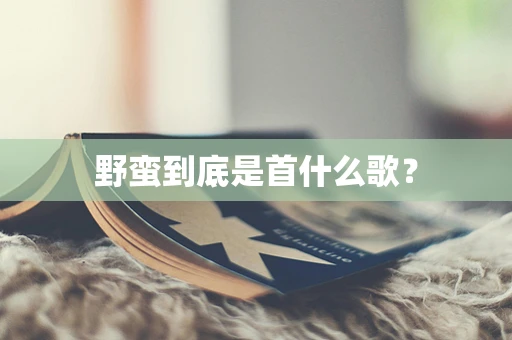 野蛮到底是首什么歌？