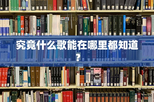 究竟什么歌能在哪里都知道？