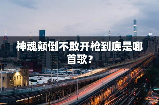 神魂颠倒不敢开枪到底是哪首歌？