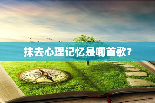 抹去心理记忆是哪首歌？