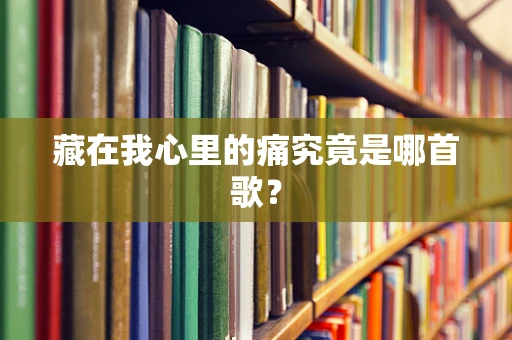 藏在我心里的痛究竟是哪首歌？