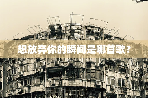想放弃你的瞬间是哪首歌？