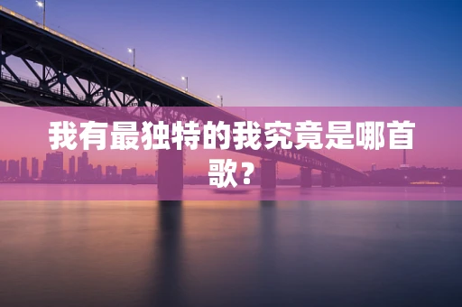 我有最独特的我究竟是哪首歌？
