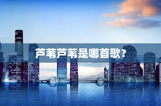 芦苇芦苇是哪首歌？