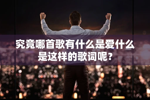 究竟哪首歌有什么是爱什么是这样的歌词呢？