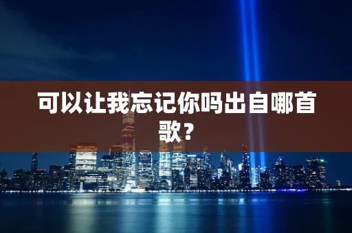 可以让我忘记你吗出自哪首歌？