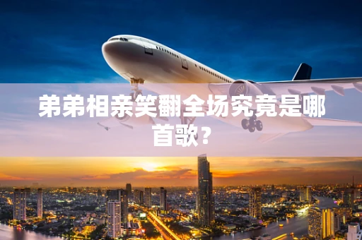 弟弟相亲笑翻全场究竟是哪首歌？