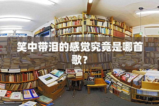 笑中带泪的感觉究竟是哪首歌？