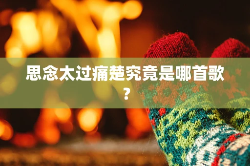 思念太过痛楚究竟是哪首歌？