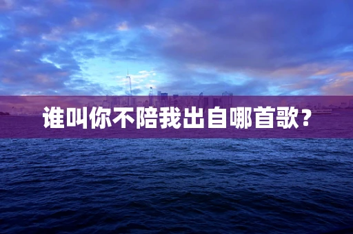 谁叫你不陪我出自哪首歌？