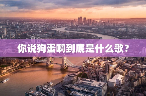 你说狗蛋啊到底是什么歌？