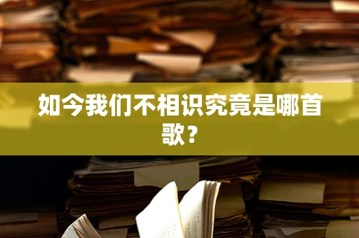 如今我们不相识究竟是哪首歌？