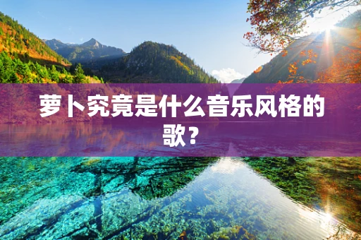萝卜究竟是什么音乐风格的歌？