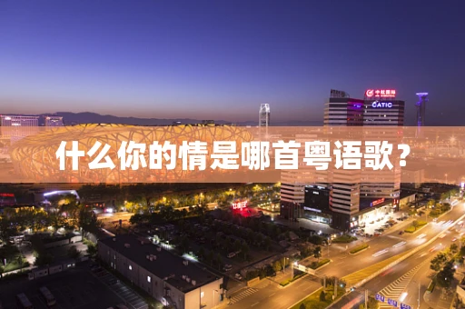 什么你的情是哪首粤语歌？