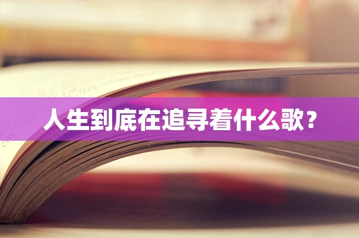 人生到底在追寻着什么歌？
