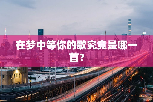 在梦中等你的歌究竟是哪一首？