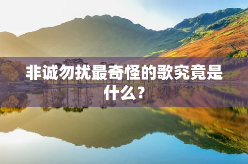 非诚勿扰最奇怪的歌究竟是什么？