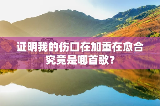 证明我的伤口在加重在愈合究竟是哪首歌？