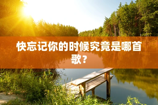 快忘记你的时候究竟是哪首歌？