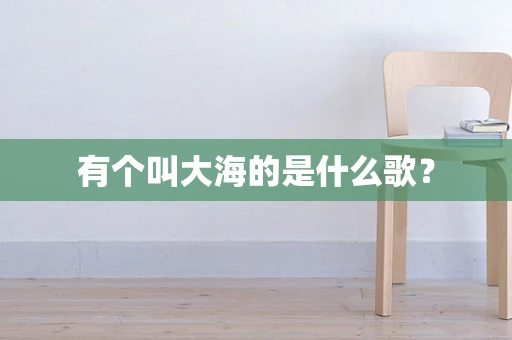 有个叫大海的是什么歌？