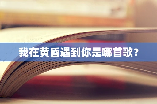 我在黄昏遇到你是哪首歌？
