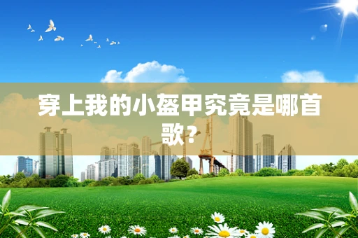 穿上我的小盔甲究竟是哪首歌？