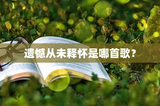遗憾从未释怀是哪首歌？