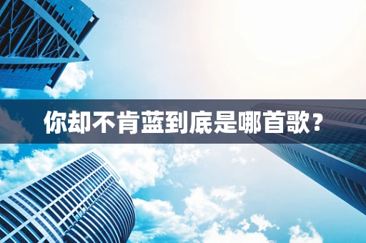 你却不肯蓝到底是哪首歌？