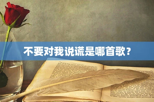 不要对我说谎是哪首歌？