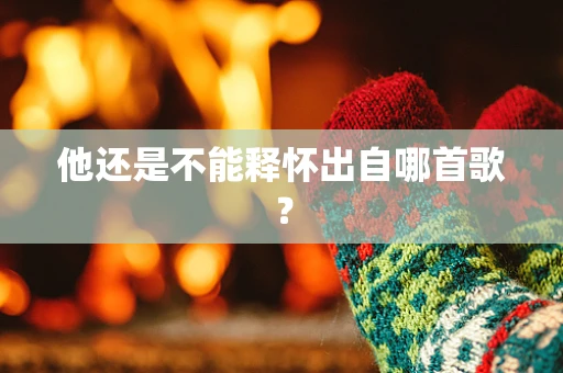 他还是不能释怀出自哪首歌？