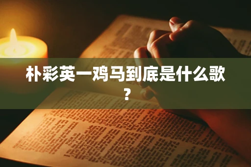朴彩英一鸡马到底是什么歌？