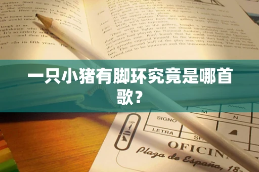 一只小猪有脚环究竟是哪首歌？