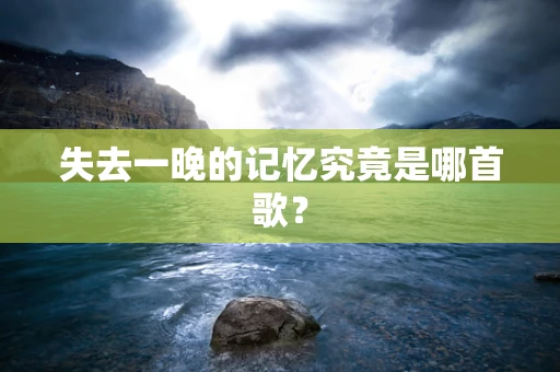 失去一晚的记忆究竟是哪首歌？