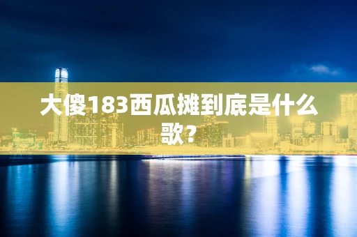 大傻183西瓜摊到底是什么歌？