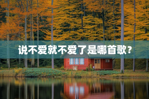 说不爱就不爱了是哪首歌？