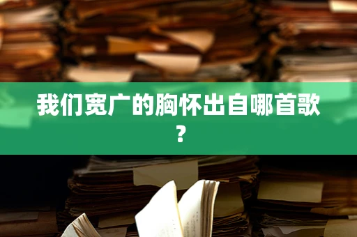 我们宽广的胸怀出自哪首歌？