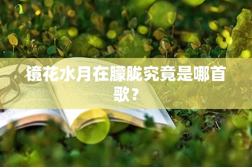 镜花水月在朦胧究竟是哪首歌？