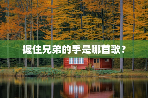 握住兄弟的手是哪首歌？