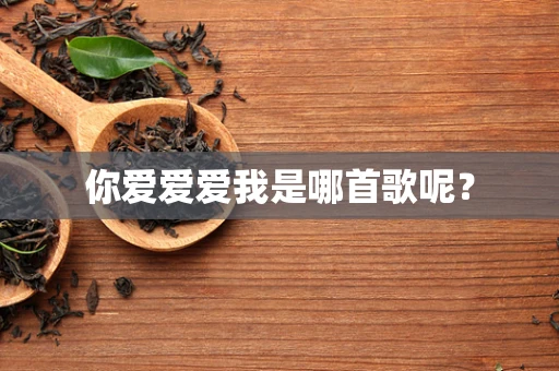 你爱爱爱我是哪首歌呢？