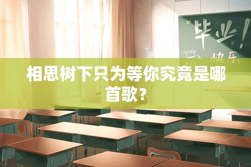 相思树下只为等你究竟是哪首歌？