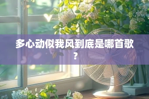 多心动似我风到底是哪首歌？