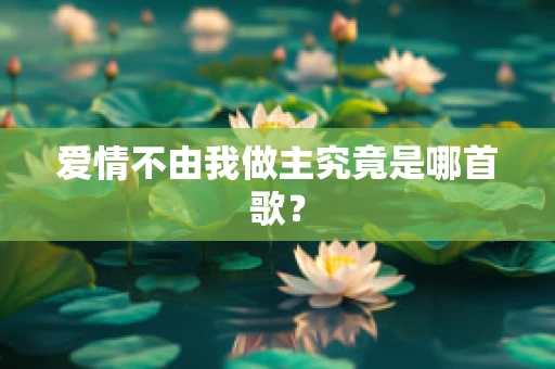 爱情不由我做主究竟是哪首歌？